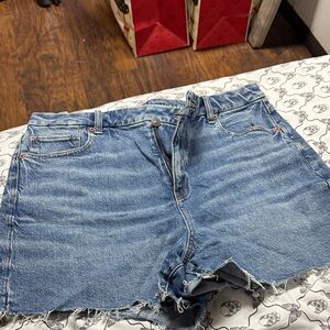 American Eagle Outfitters Light Blue Denim Shorts